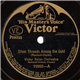 Victor Salon Orchestra - Silver Threads Among The Gold / Long, Long Ago